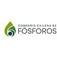 Compaa Chilena de Fsforos